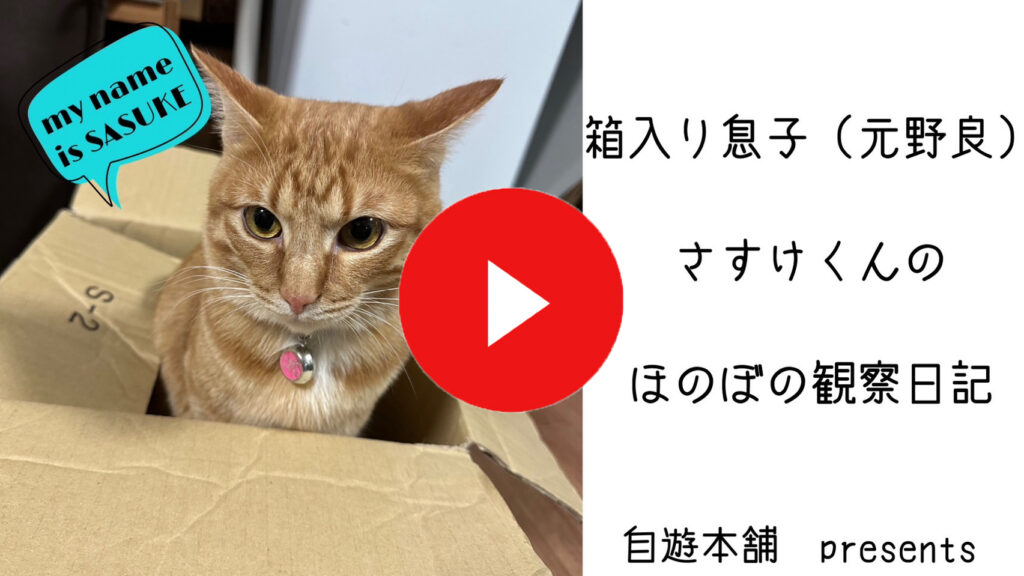 youtube更新】やんちゃ坊主サスケ君ほのぼの動画日記 - 自遊本舗